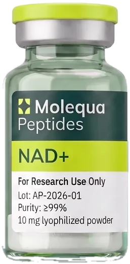 Vial NAD+ von Molequa
