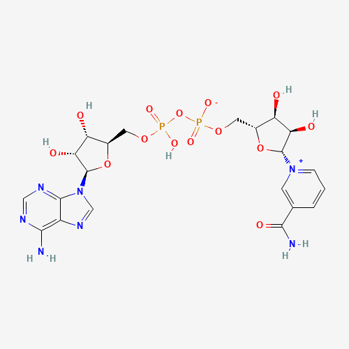 NAD+ — Molekula 2D szerkezete